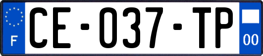 CE-037-TP