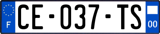 CE-037-TS