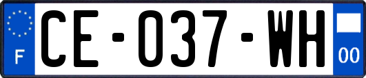 CE-037-WH