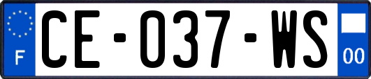 CE-037-WS