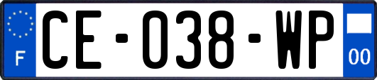CE-038-WP