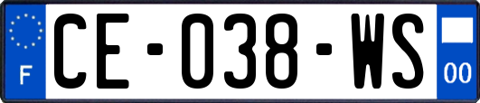 CE-038-WS