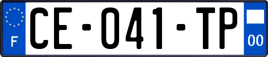 CE-041-TP