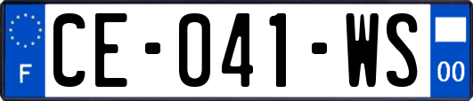 CE-041-WS