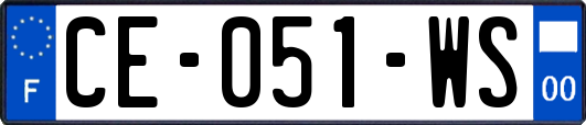 CE-051-WS