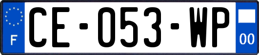 CE-053-WP
