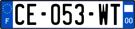 CE-053-WT