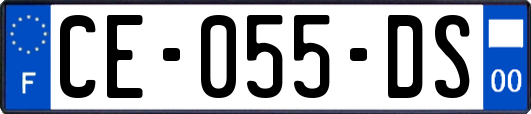 CE-055-DS