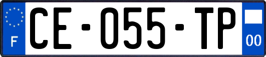 CE-055-TP