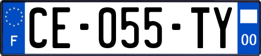CE-055-TY