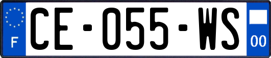 CE-055-WS