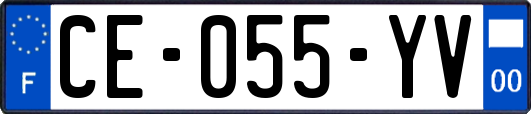 CE-055-YV