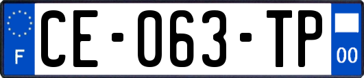 CE-063-TP