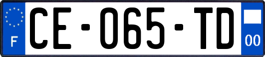 CE-065-TD