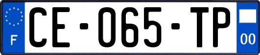 CE-065-TP