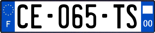 CE-065-TS