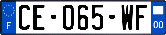CE-065-WF