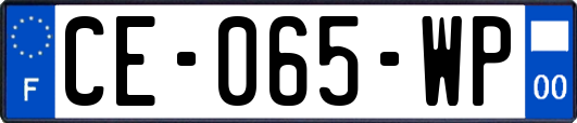 CE-065-WP