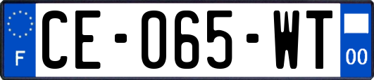 CE-065-WT