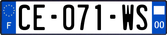 CE-071-WS