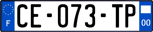 CE-073-TP