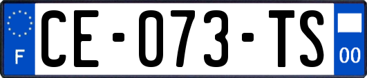 CE-073-TS