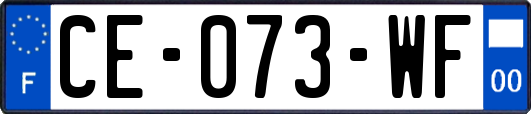 CE-073-WF
