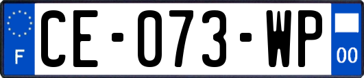 CE-073-WP