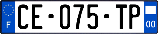 CE-075-TP