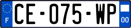 CE-075-WP