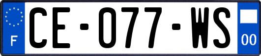 CE-077-WS