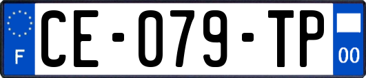 CE-079-TP