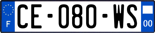 CE-080-WS