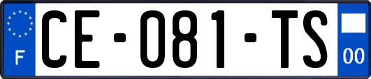 CE-081-TS