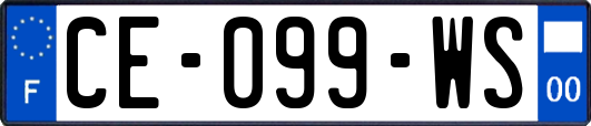 CE-099-WS