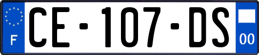 CE-107-DS