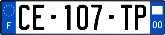 CE-107-TP