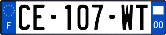 CE-107-WT