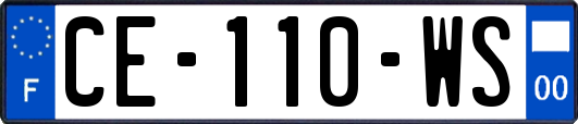 CE-110-WS