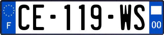 CE-119-WS