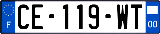 CE-119-WT