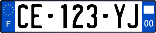 CE-123-YJ