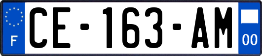 CE-163-AM