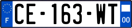 CE-163-WT