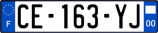 CE-163-YJ