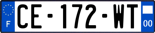 CE-172-WT