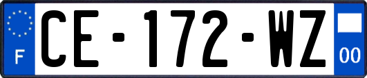 CE-172-WZ