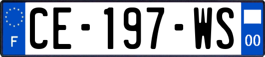 CE-197-WS