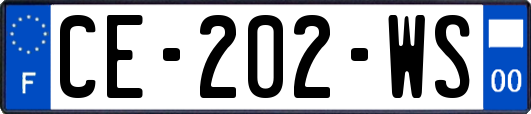 CE-202-WS