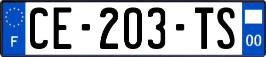 CE-203-TS